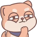 shiba_sus