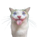 Joker_cat Discord Emoji