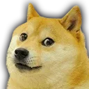 sgordoge