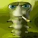 ip