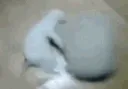 power