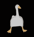 patodefaultdance
