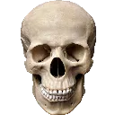 skull_hd