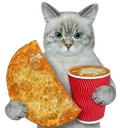 cat_food