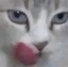 tasty tasty
