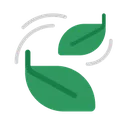 Leafs