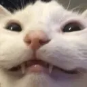hehe