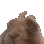 bunnyvibe