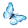 rc_butterfly