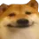 16doge