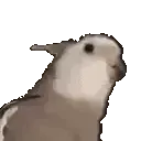 archJAM