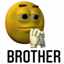carry_brother
