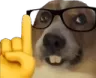 ANerdDog