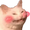 carry_cat_blush carry_cat_blush