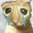 CattoCry