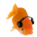 FishJam