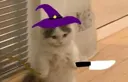 Halloween_cat1 Discord Emoji