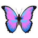 kmkelebek Discord Emoji