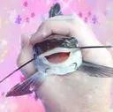 kawaii_fish
