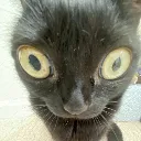 o_o