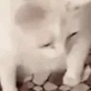 ew