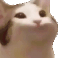 xpopcat animated GIF emoji | AI CHATBOT MASTER 《🏷 100k+ Guild TAGS》┇ social ⋆ gaming ⋆ anime ⋆ chill ⋆ emotes⭑tech⭑[Character.AI]