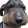 Buh Buh