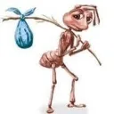d_ d_