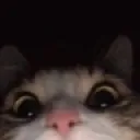 peek