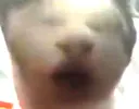 sillysillycat