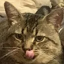 mmmmmm mmmmmm