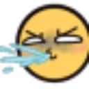 carry_wadafak