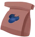 blueberrybushseed