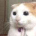 A_hmm Discord emoji