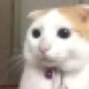 A_hmm A_hmm