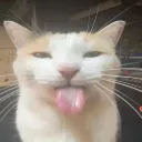 Silly