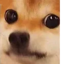carry_dogeFlush carry_dogeFlush