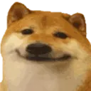 DogeSmile
