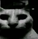 gatodespair gatodespair