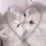 lovewholovemeagain_nevermor