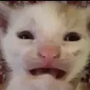 bro_WHAT