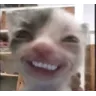 evilcatsmile