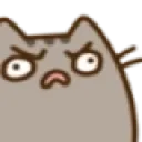 cat_urg