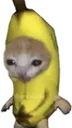 Banana Cat banana_cat Discord Emoji
