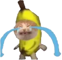 banana_cat_crying Discord Emoji