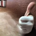 no