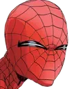 SpideySpiderWut