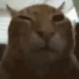 BUH
