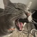 charger1