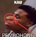 KauPembohong